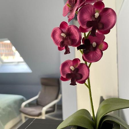Deluxe Apartment Wiesbaden Eksteriør bilde