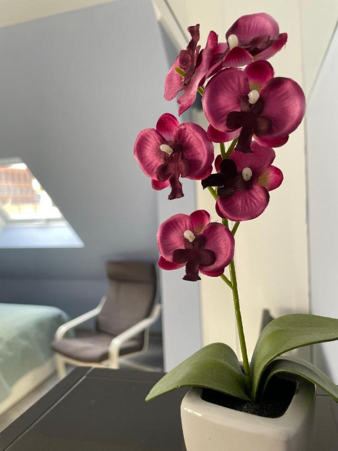 Deluxe Apartment Wiesbaden Eksteriør bilde