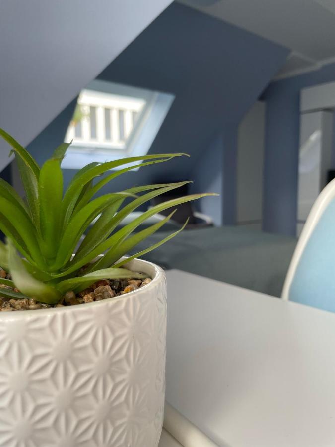 Deluxe Apartment Wiesbaden Eksteriør bilde